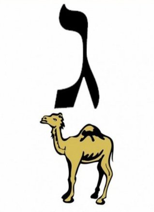 gimel-camel