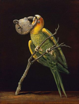 surreal-pappagallo