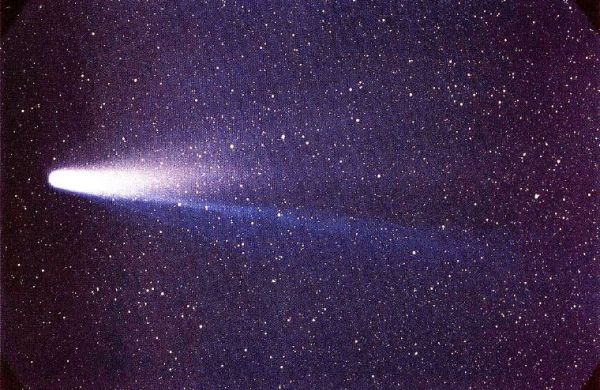 cometa-Halley